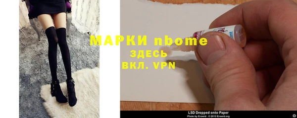 индика Белокуриха