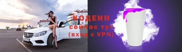 индика Белокуриха