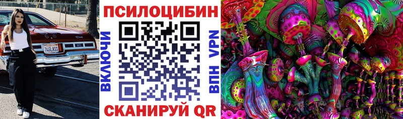 купить наркотик Нестеров Псилоцибиновые грибы прущие грибы